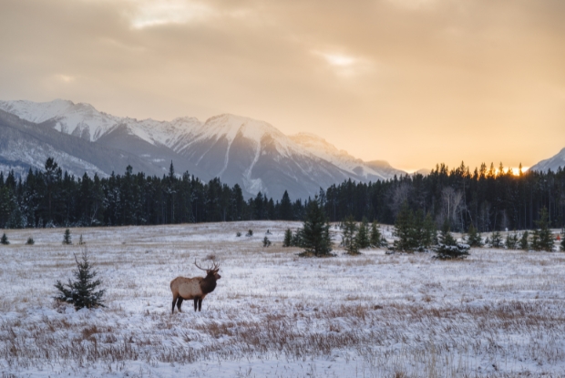 Banff, Canada