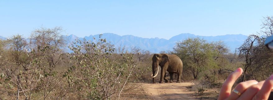 South Africa by Megan O'Sullivan