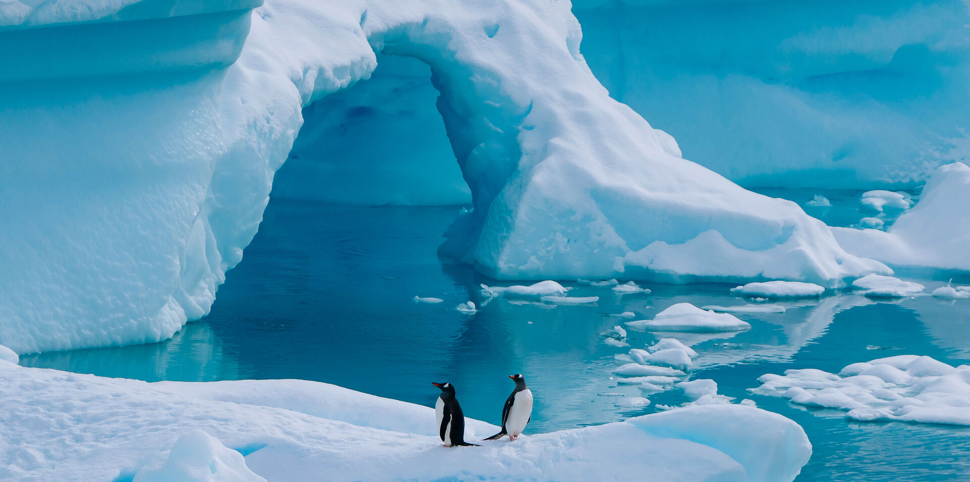 Antarctic Circle Expedition